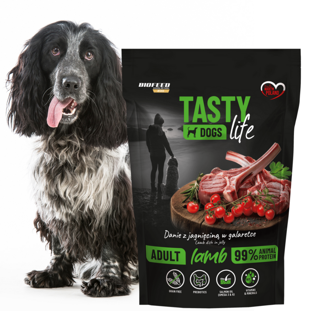TASTY DOGS LIFE mokra karma dla psa z jagnięciną w galaretce saszetka 500g