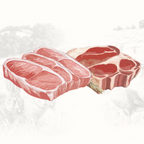 EUPHORIA FRESH MEAT Karma dla psa mini Wieprzowina i Wołowina XS/S 0,5kg