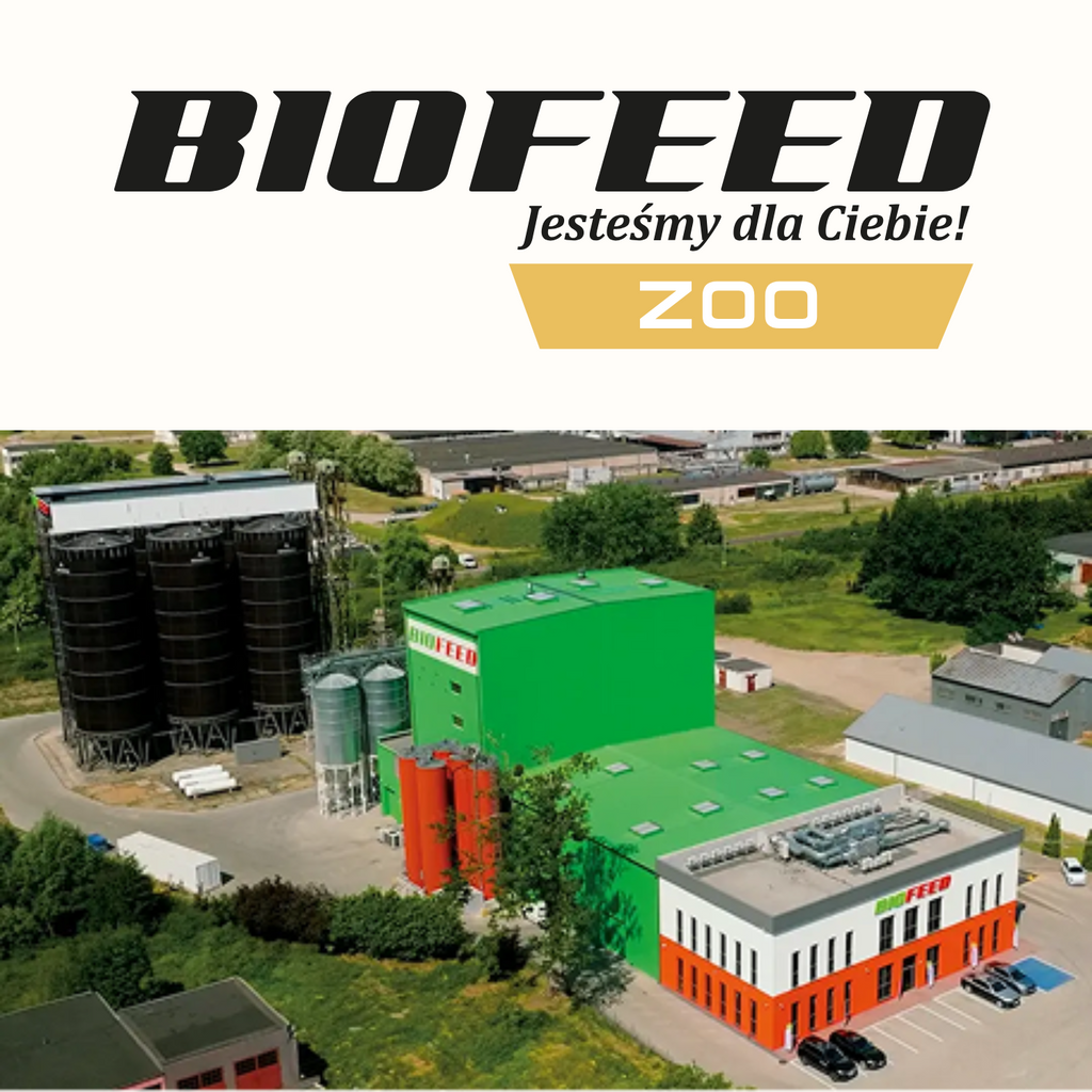 TASTY DOGS LIFE mokra karma dla psa z wieprzowiną w galaretce saszetka 500g