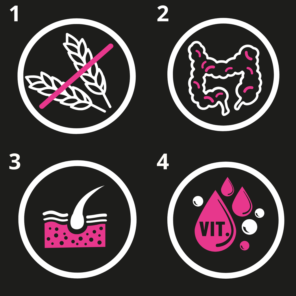 TASTY DOGS LIFE mokra karma dla psa z wieprzowiną w galaretce saszetka 500g