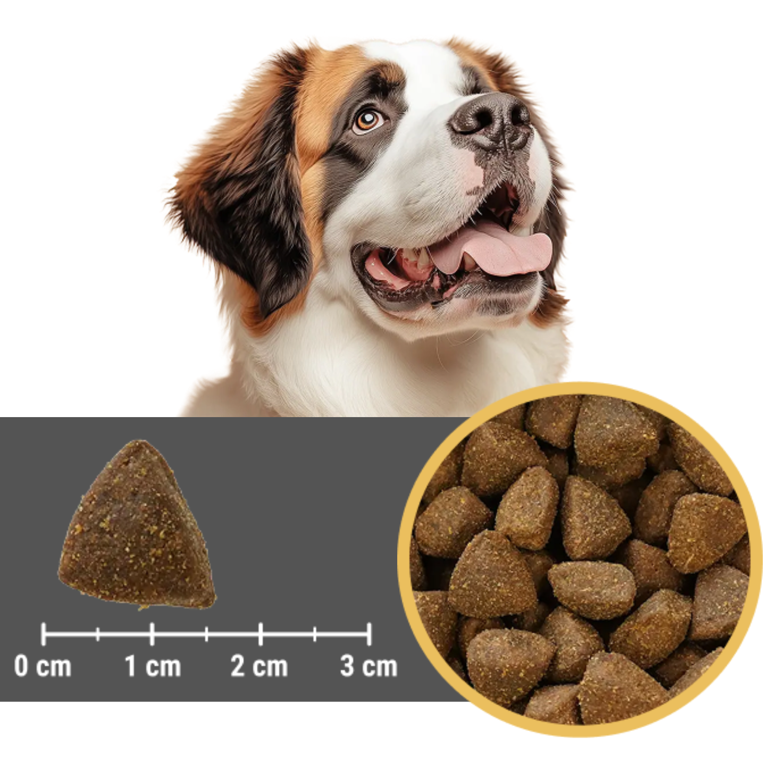 EUPHORIA FRESH MEAT Karma dla psa bezzbożowa Wieprzowina Wołowina M/L 2kg