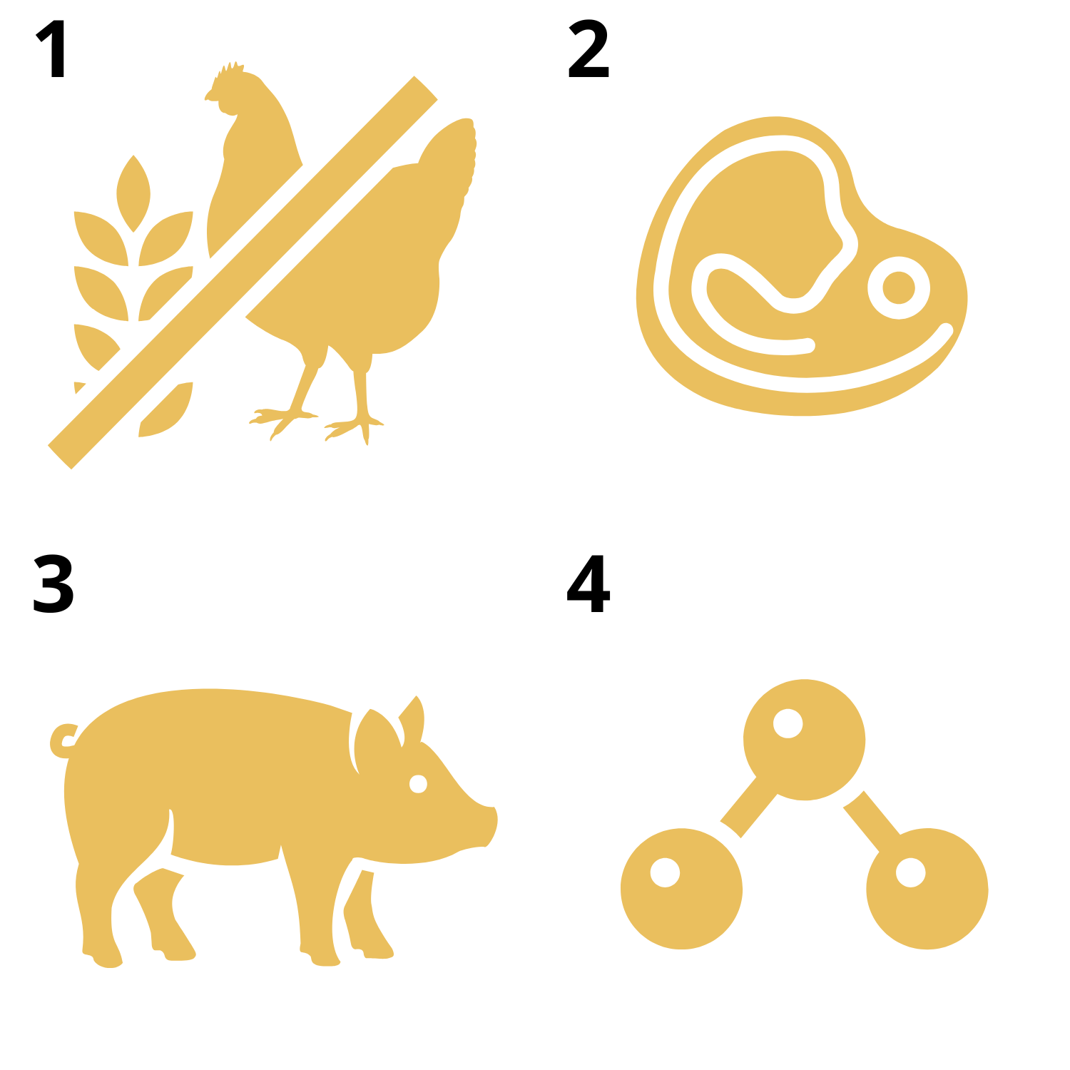 EUPHORIA FRESH MEAT Karma dla psa bezzbożowa Wieprzowina Wołowina M/L 2kg