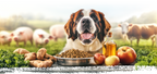 EUPHORIA FRESH MEAT Karma dla psa bezzbożowa Wieprzowina Wołowina M/L 2kg