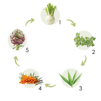 BIOFEED EUPHORIA INDOOR karma dla kota bez glutenu Indyk&Gęś 1,5 kg