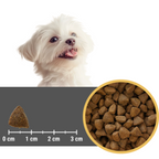 EUPHORIA FRESH MEAT Szczeniak Karma dla psa mini Indyk Królik XS/S 0,5kg