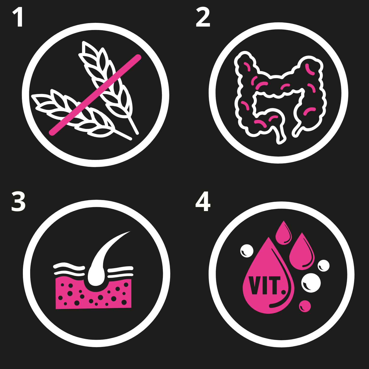 TASTY DOGS LIFE mokra karma dla psa z drobiem w galaretce saszetka 500g