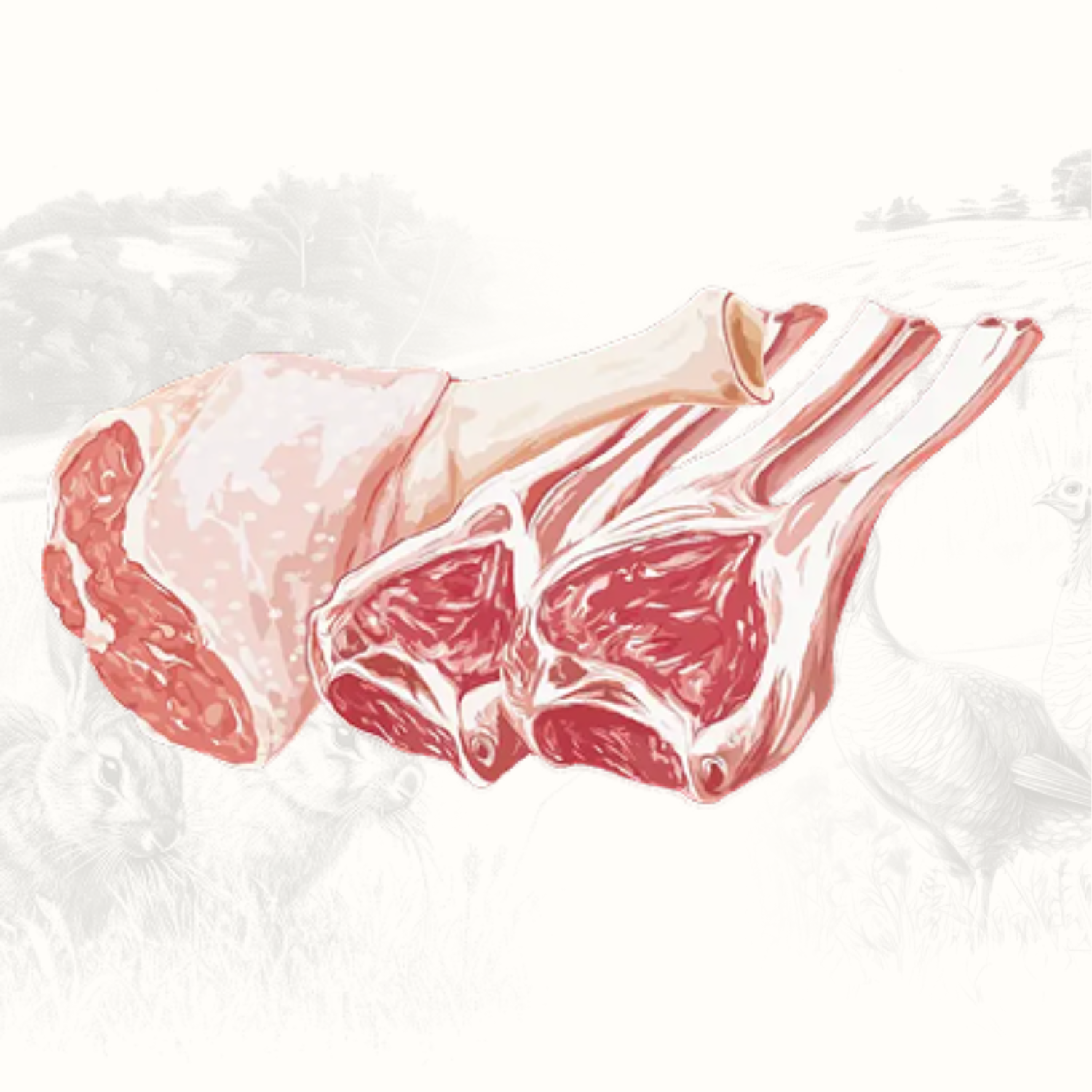 EUPHORIA FRESH MEAT Karma dla psa monobiałkowa bezzbożowa Indyk M/L 2kg