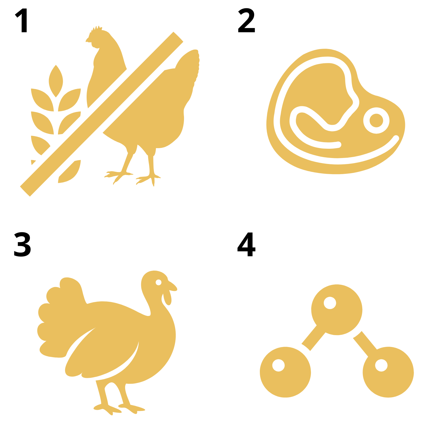 EUPHORIA FRESH MEAT Karma dla psa bezzbożowa Indyk i Jagnięcina M/L 2kg