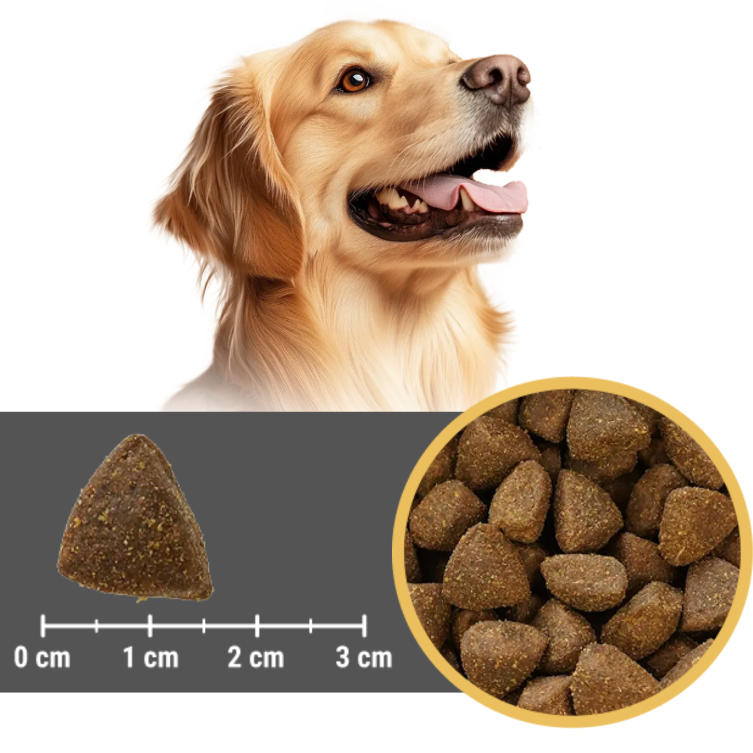 EUPHORIA FRESH MEAT Karma dla psa dużego bezzbożowa Indyk i Królik M/L 2kg